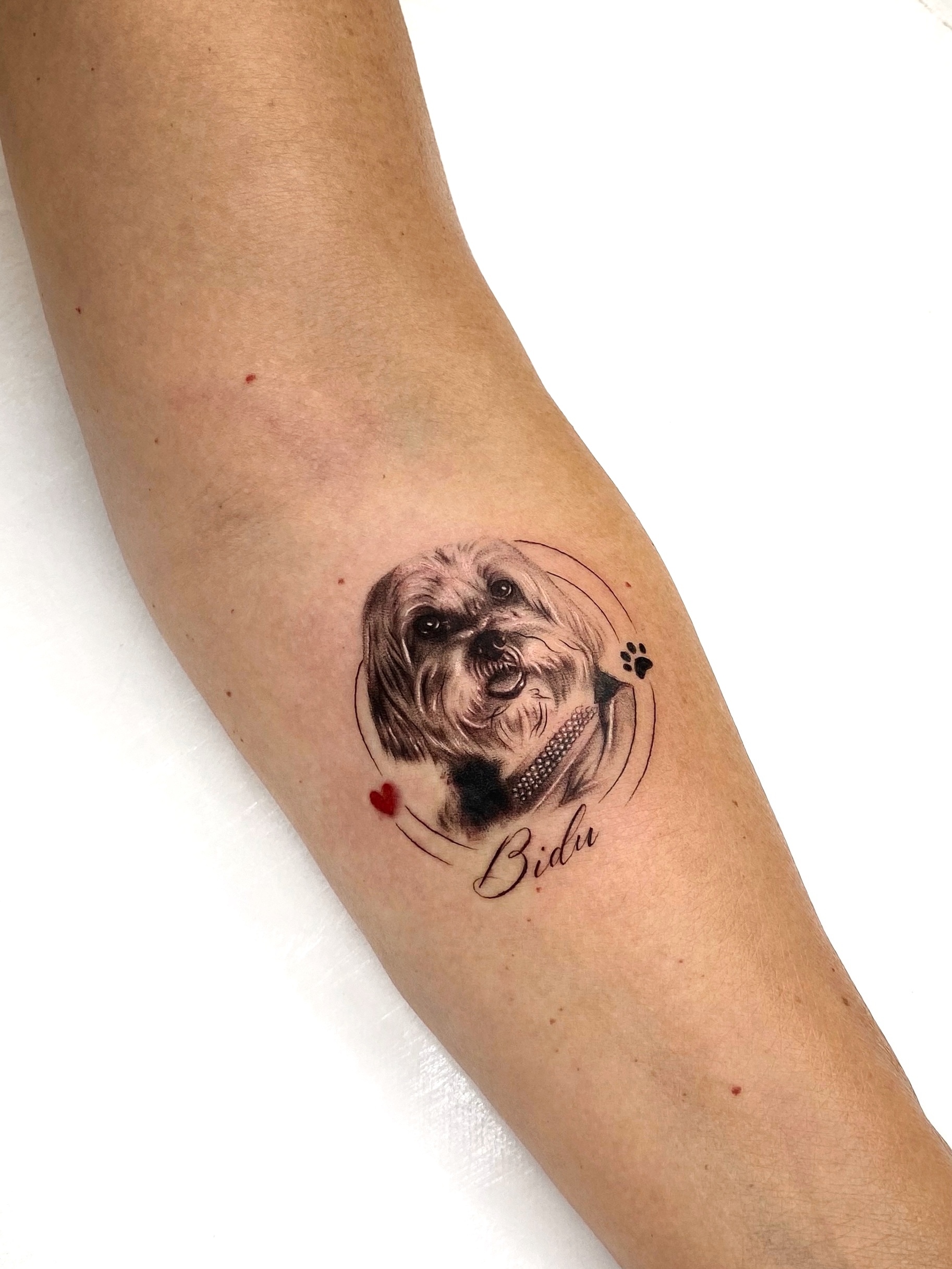 Tatuagem do portfólio do estúdio